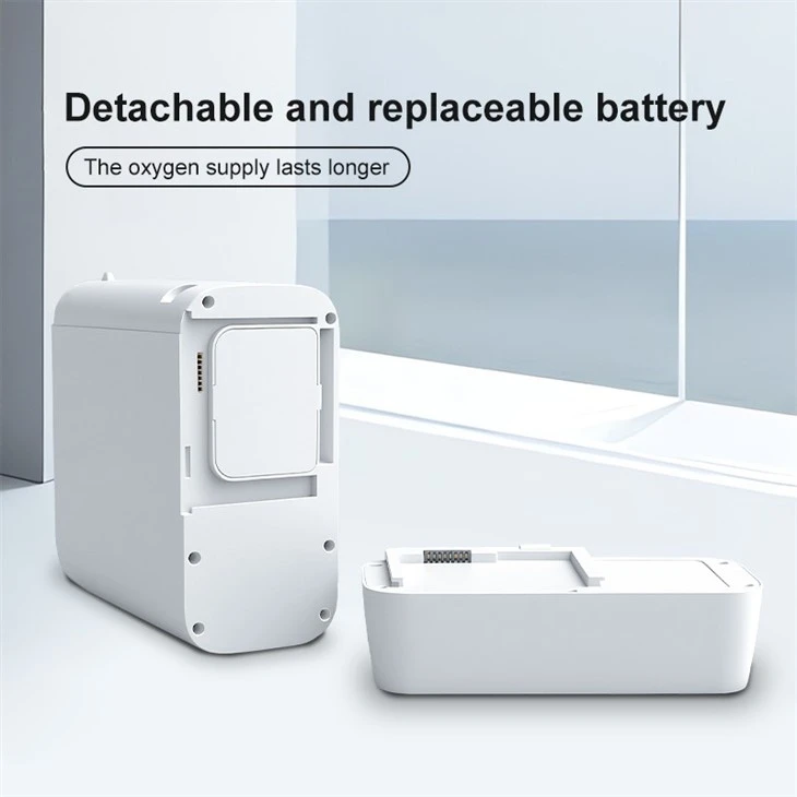 Electric Oxygen Concentrator Mini Portable Oxygen Concentrator best