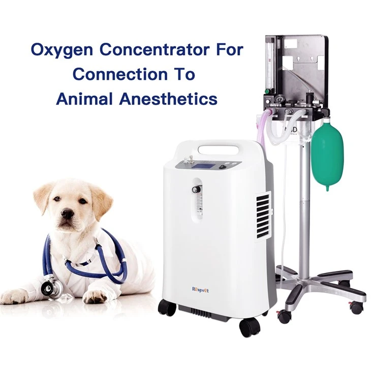 High Quality Veterinary Icu Pet Oxygen Cage For 5l Oxygen Concentrator factory