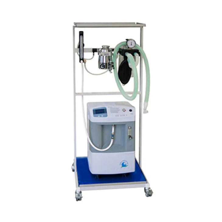 Oxygen Concentrator For Pet Use