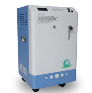 Generadur Osôn Gweithio Parhaus Ac Addasadwy