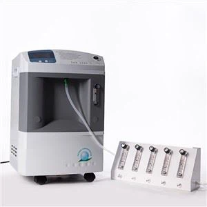 10lpm Crynodwr Ocsigen Yn Cysylltu â Hollti Llif