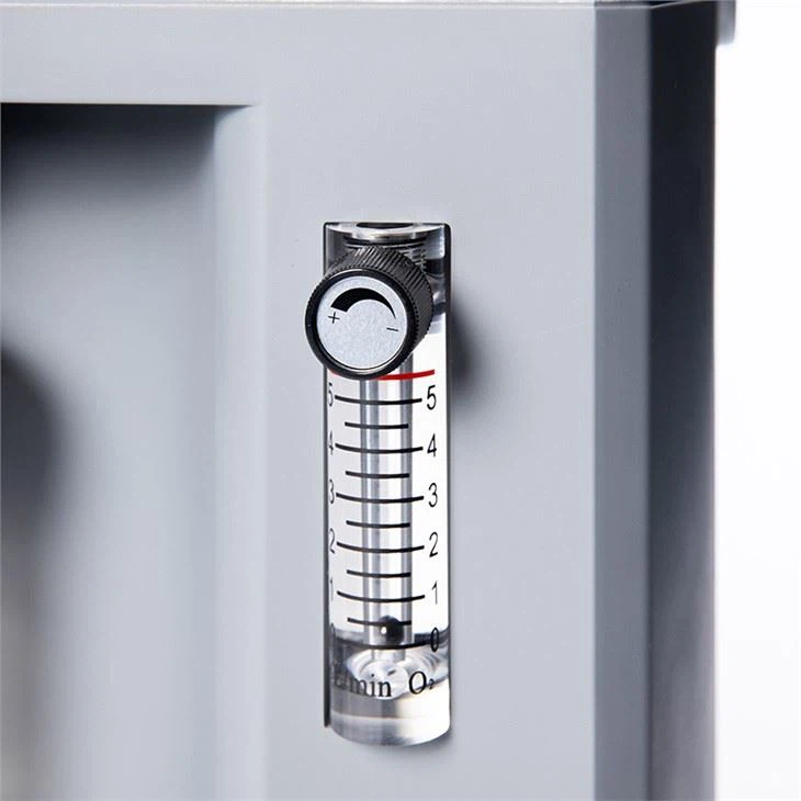 CE ISO Certificate 10lpm Oxygen Concentrator With Dual Flow